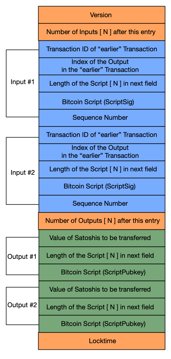 Figure 1: Field-level detail of a Transaction with two inputs and two outputs
